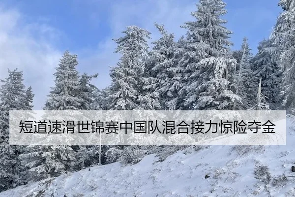 短道速滑世锦赛中国队混合接力惊险夺金